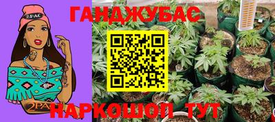 не бодяженный Камышлов