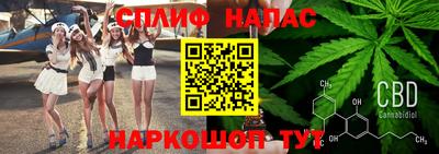 ECSTASY Канаш