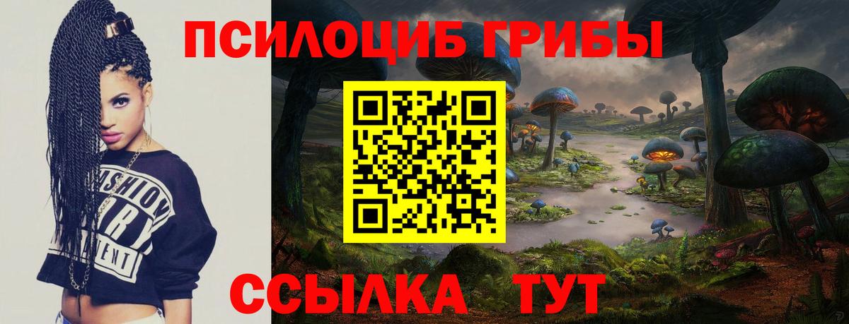 цена наркотик  Псилоцибиновые грибы MAGIC MUSHROOMS  Вход с VPN  Котовск 