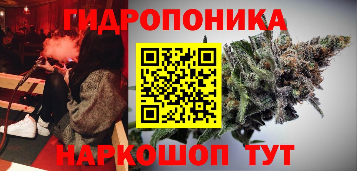 Канабис OG Kush Котовск